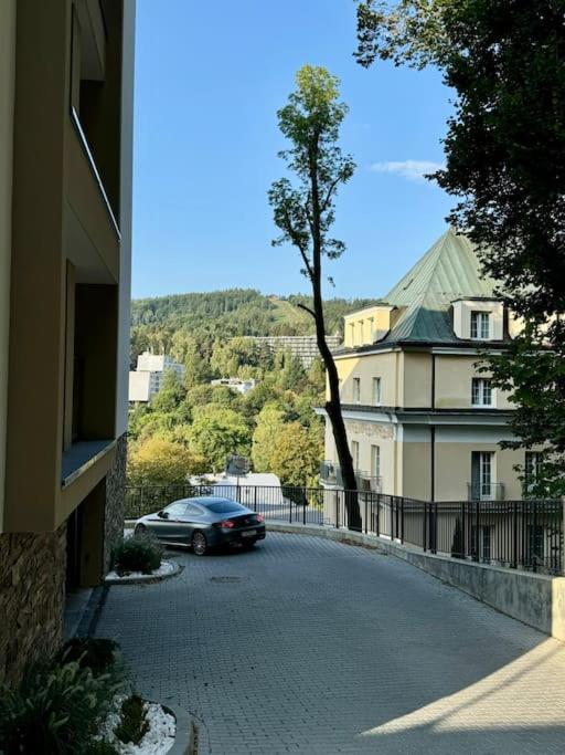 Apartment Art & High Z Parkingiem Podziemnym Krynica Zdroj