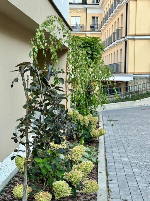 Art & High Z Parkingiem Podziemnym * Krynica Zdroj